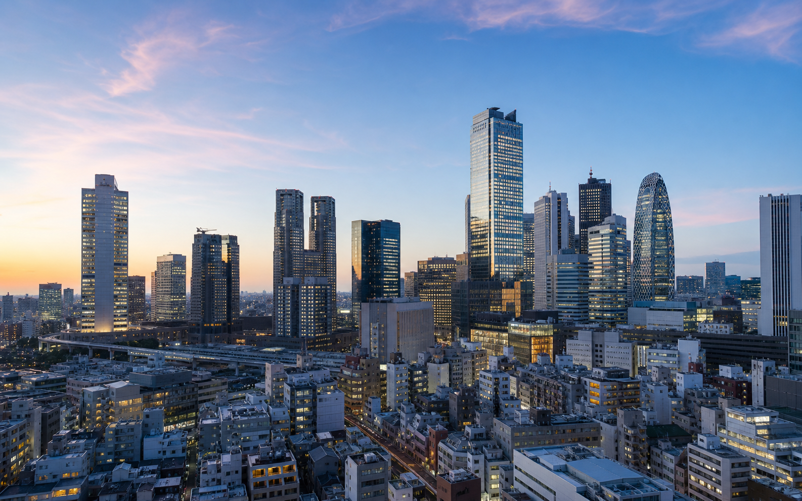 東京・新宿周辺の都市風景